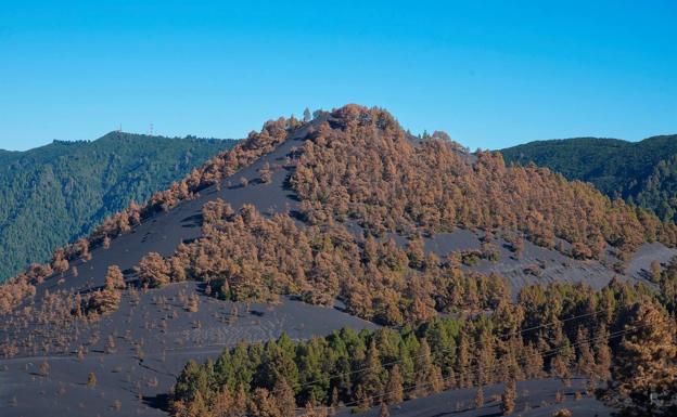 La población de La Palma no ha sentido los 9 terremotos localizados desde el martes