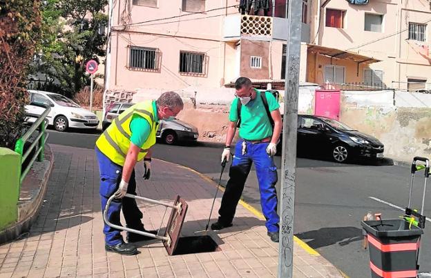 Intervención antiplagas en Las Rehoyas y la urbanización El Sebadal