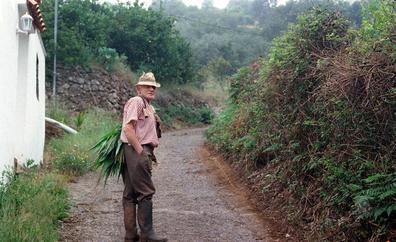 El Cabildo ejecuta 20 obras en los caminos rurales y agrícolas
