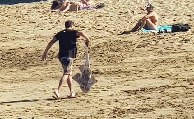 Detenido por descuartizar un angelote en la playa de Aguadulce en Telde
