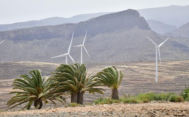 Alerta por fuerte viento en El Hierro, La Gomera y Tenerife