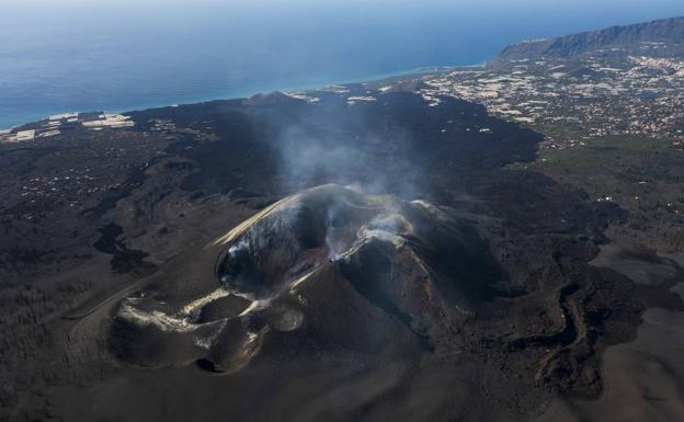 Encuentran cernícalos y palomas que murieron por los gases de la erupción