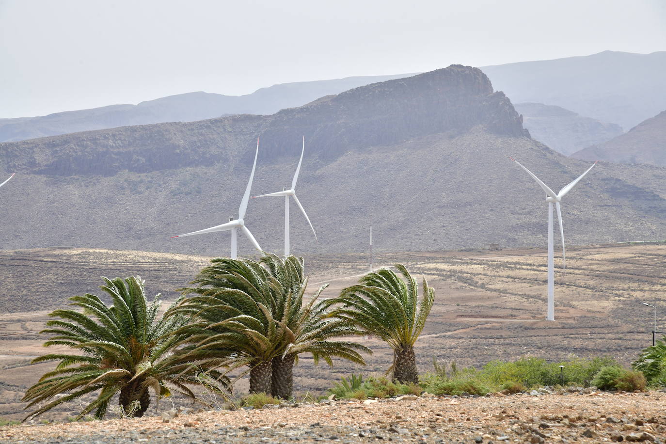 Alerta por fuerte viento en El Hierro, La Gomera y Tenerife