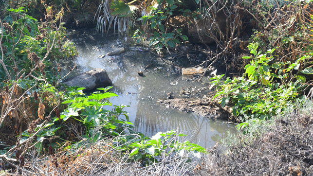 Auto de procesamiento contra la alcaldesa de Candelaria y tres exregidores