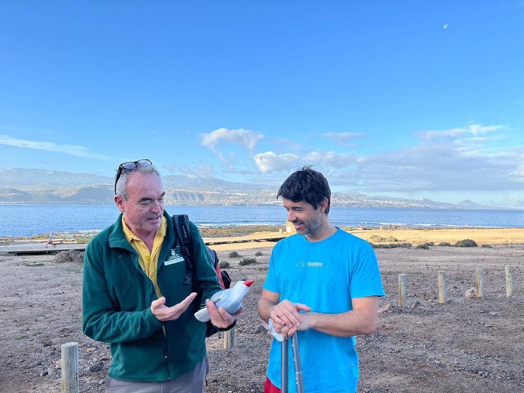 El islote Matavinos, nueva casa de los charranes