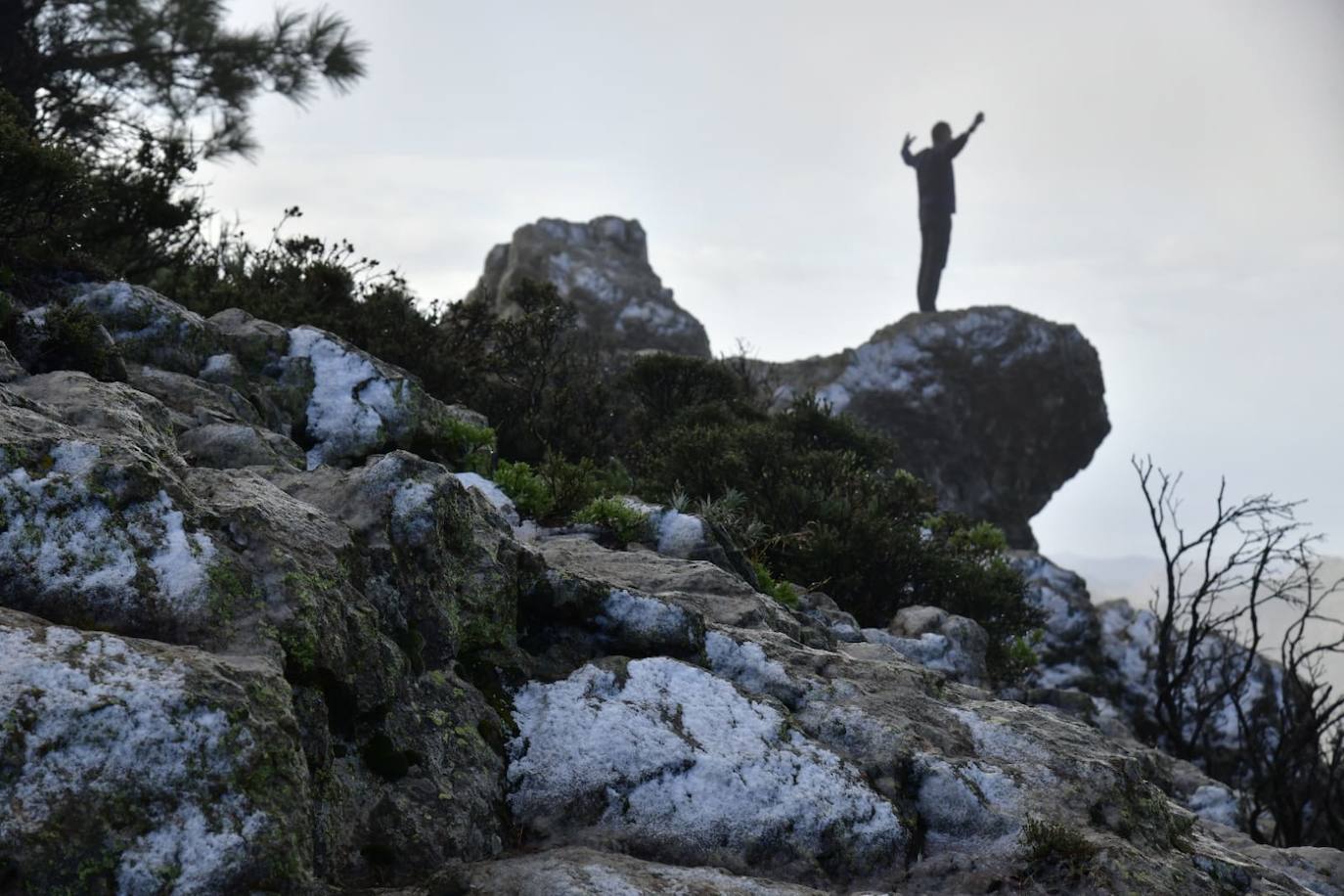 La Cumbre de Gran Canaria, helada