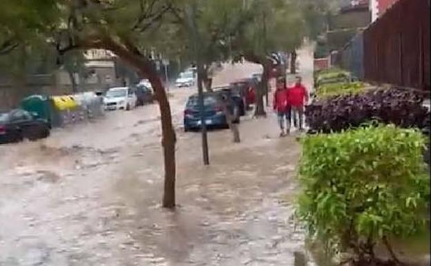 Los vídeos más destacados de este viernes 28 de enero