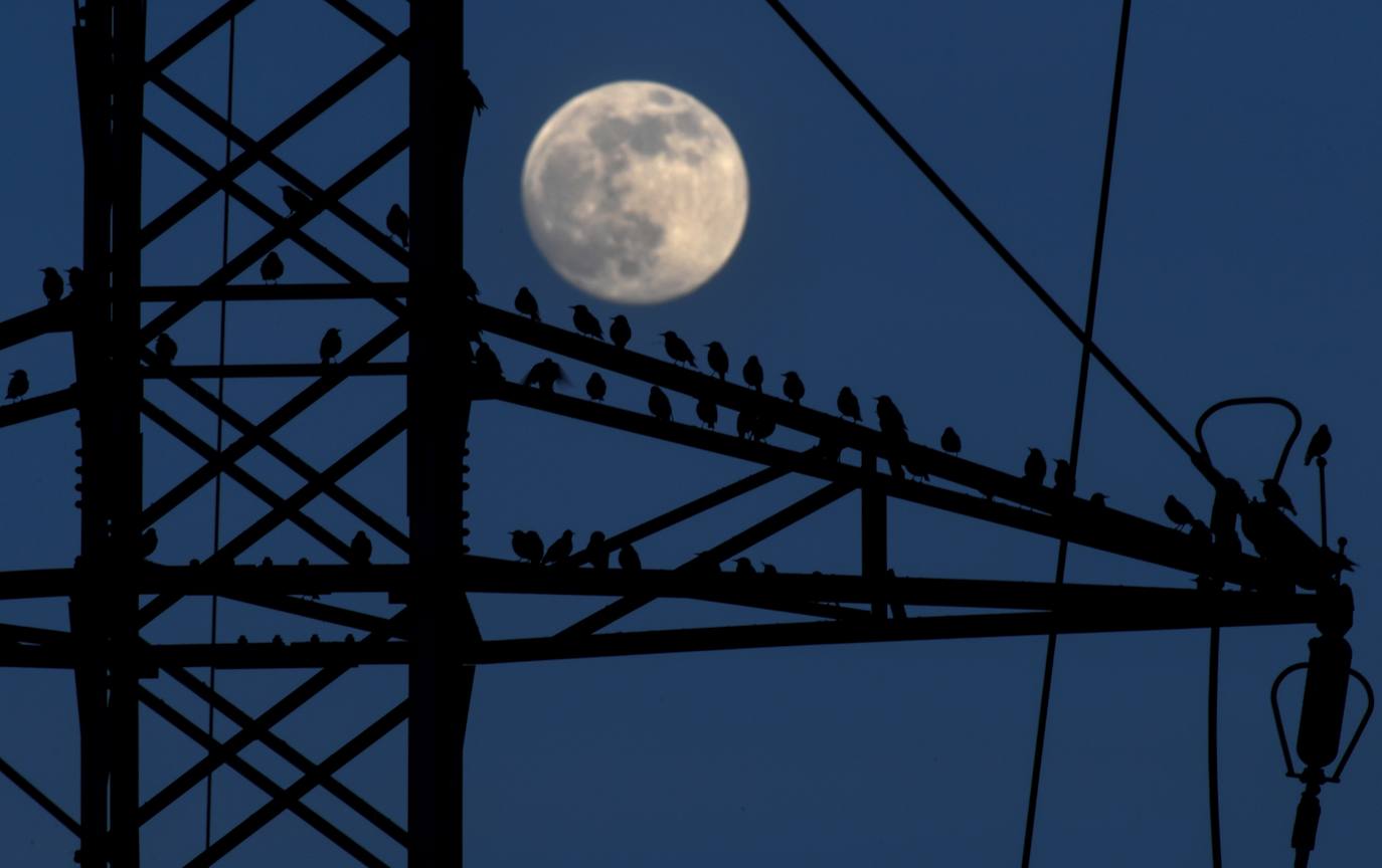 La luz sube levemente este sábado pero sigue por debajo de los 200 euros el megavatio hora