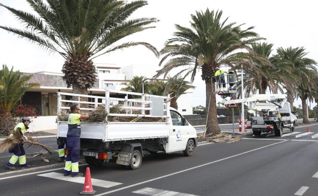 Teguise deberá licitar por tercera vez el cuidado de las zonas verdes