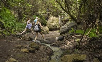 Las 10 mejores rutas de senderismo con niños en Gran Canaria