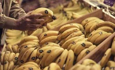 Plátano de Canarias cierra el año con más de 409 millones de kilos vendidos