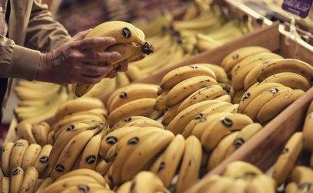 Plátano de Canarias cierra el año con más de 409 millones de kilos vendidos