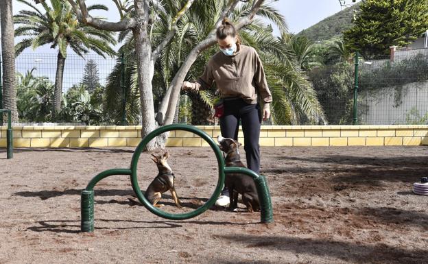 La capital grancanaria suma un nuevo parque canino en Tafira Alta