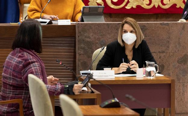 La Cámara exige el reparto de menores pero Torres duda de su efectividad