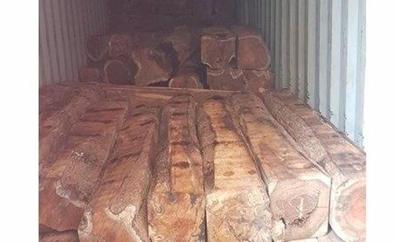Intervienen 11 contenedores con madera protegida en el puerto de Las Palmas