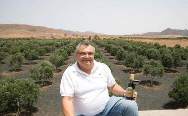 El mejor aceite de Canarias se produce en Teguerey