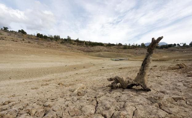 El campo teme ya pérdidas multimillonarias por la sequía