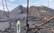 Valores «muy elevados» de CO2 en La Bombilla tras dos meses del fin de erupción