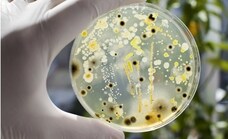 El poder de las bacterias para convertir residuos químicos en nuevos materiales