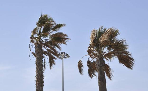 Finalizan los avisos por rachas, pero continúan los vientos fuertes en Canarias