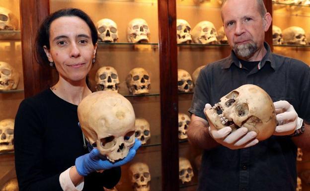 La Biblioteca Insular presenta el volumen cuatro de la colección 'La isla de los canarios'