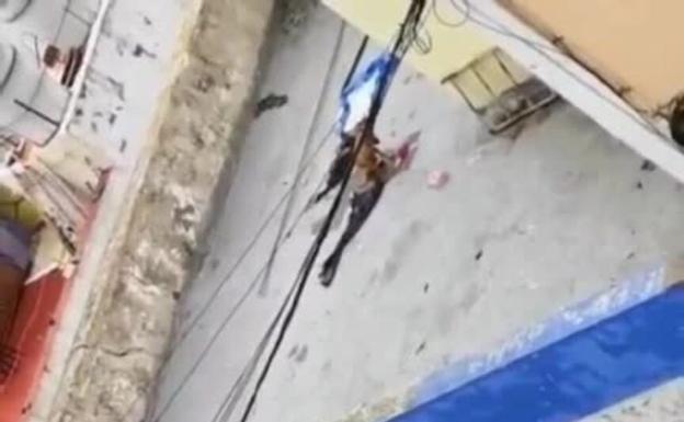 Denuncian la situación de un perro abandonado en una azotea de Arucas