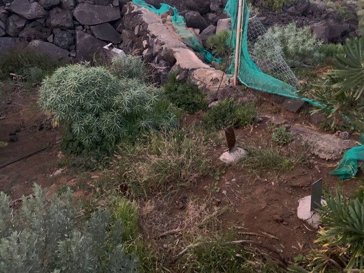 Roban el panel y la batería de una estación sísmica de vigilancia en La Palma