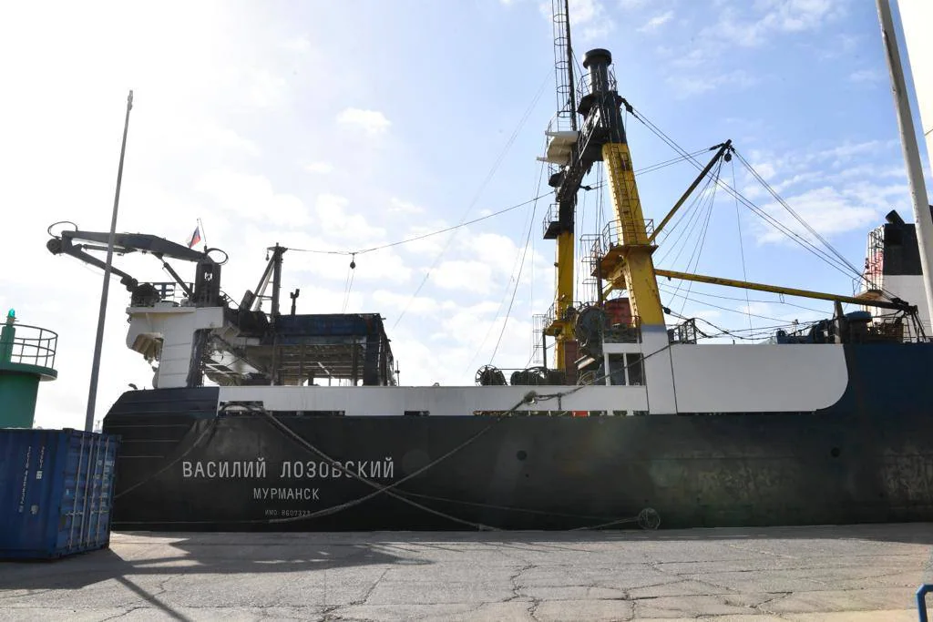La Luz podría erigirse en «refugio» de trasbordos ante el cierre de los puertos rusos y ucranianos