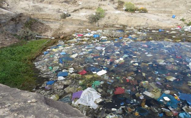 El plástico sustituye a las aves en una charca de Canarias