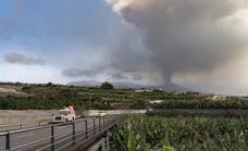 Los ERTE del volcán de La Palma en datos