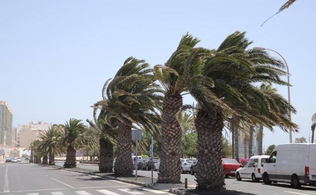 El 1-1-2 coordina más de 70 incidentes por la borrasca Celia