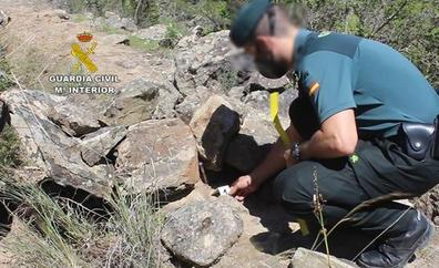 La Guardia Civil investiga a dos personas por un delito de abandono animal