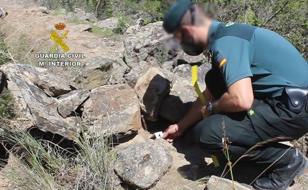 La Guardia Civil investiga a dos personas por un delito de abandono animal