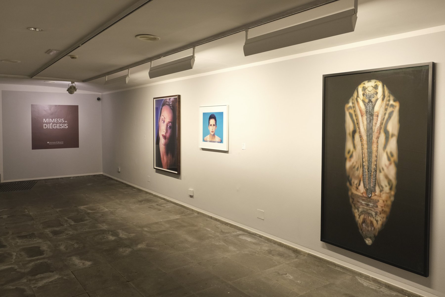 tPara empezar. De izquierda a derecha, 'Madonna II', de Julian Rosefeldt, 'L.A. Portraits', de Roland Fischer, y 'Untitled' (Crysalis series), de Adam Fuss, piezas que abren la muestra que acoge el Cicca. 