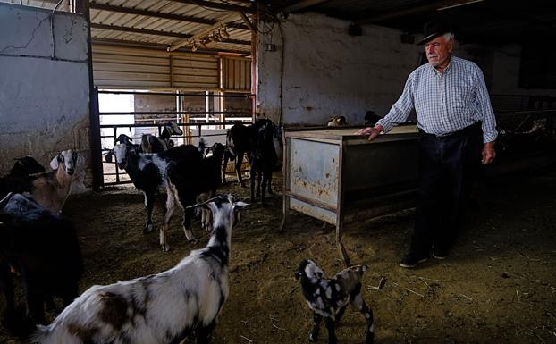 El sector ganadero recibirá cuatro millones en ayudas del Cabildo