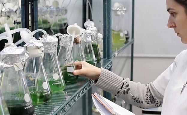 La pobre radiografía de la I+D en Canarias: se invierte menos de un tercio de la media nacional