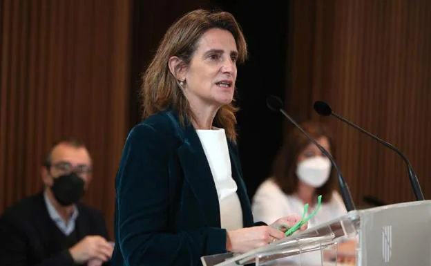 The Minister of Ecological Transition, Teresa Ribera.  /EP