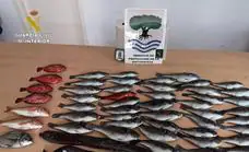 Intervienen más de 57 kilos de pescado «ilegales» en restaurantes de Tenerife