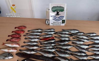 Intervienen más de 57 kilos de pescado «ilegales» en restaurantes de Tenerife