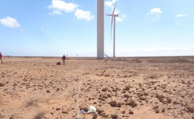 Informes de Medio Ambiente del Cabildo paralizan el funcionamiento del parque eólico Puerto del Rosario