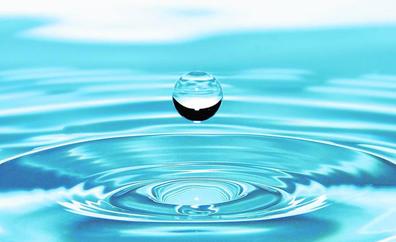 Descargue el suplemento Especial Día Mundial del Agua en formato pdf