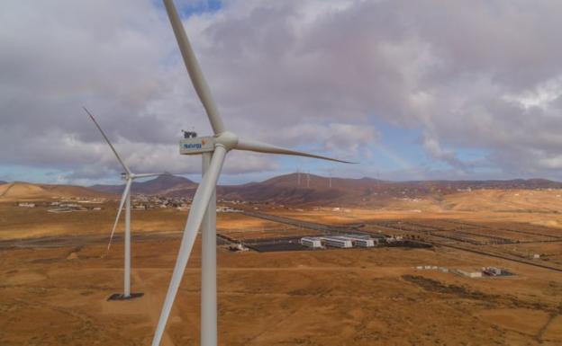 Naturgy opta por parar el parque eólico «al completo» tras la muerte de dos guirres