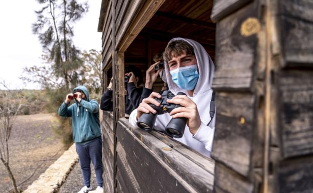 Los alumnos avistan guirres y hubaras con 'Conocer para proteger'