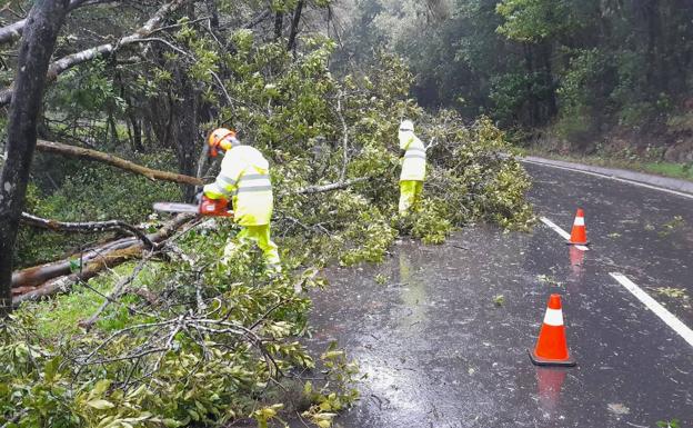 Una veintena de incidencias en las carreteras de La Gomera