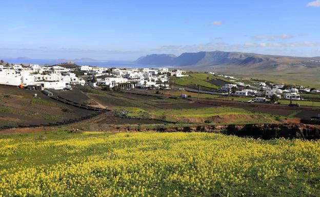 Aderlan da ayudas al sector primario