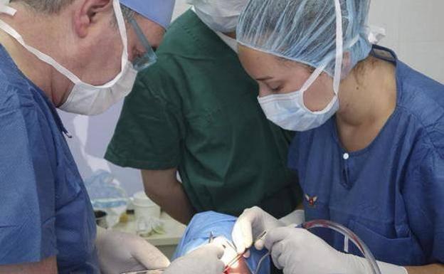 Sanidad citó a 119.368 personas para el diagnóstico precoz de cáncer de colon y recto