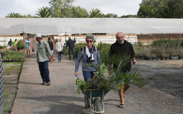 Higueras a dos euros y perales a seis en la granja de Pozo Negro