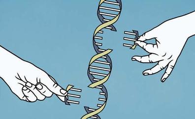 El código del genoma humano por fin está completo