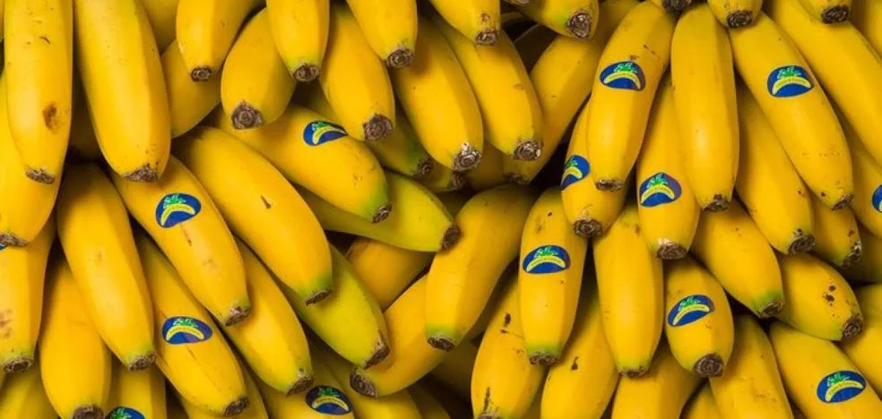 Bananas from the Canary Islands increase their price by more than 30%
