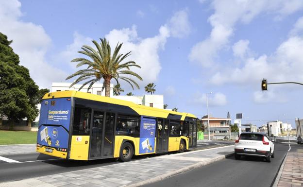 Súbase a la MetroGuagua: conozca el estado en que están sus ocho fases